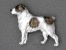 Brož postava - Středoasijský pastevecký pes