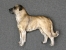 Anatolský pastevecký pes - Brož postava