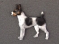 Brož postava - Tenterfield Terrier