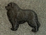 Brož postava - Novofundlandský pes
