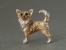 Mini Model - Chihuahua Longhaired