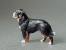Mini Model - Bernese Mountain Dog