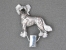 Number Card Clip - Chinese Crested Dog