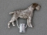 Number Card Clip - German Wirehaired Pointer