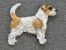 Odznak postava - Jack Russell Terrier drsnosrstý