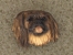 Odznak hlava - Pekingský palácový psík