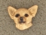Pin Head - Chihuahua Smooth