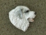 Odznak hlava - Pyrenejský horský pes