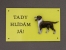 Warning Outdoor Board Figure - American Pit Bull Terrier