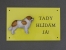 Výstražná tabulka postava - Svatobernardský pes