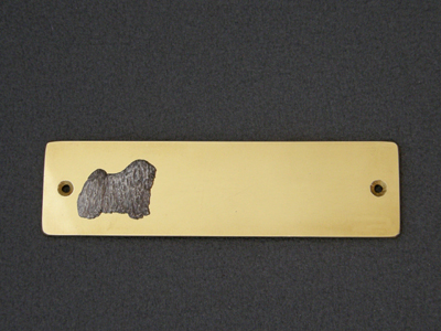 Puli - Brass Door Plate