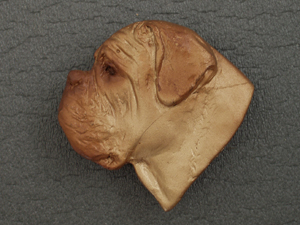 Dogue de Bordeaux - Brooche Large Head