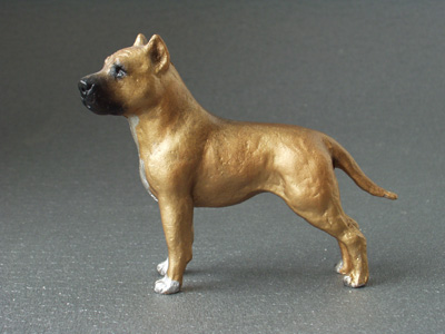 American Staffordshire Terrier - Maxi Model