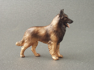 Belgický ovčák Tervueren - Maxi model