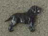 Labradorský retrívr - Odznak postava