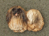 Pekingese - Pin Figure