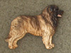 Leonberger - Pin Figure