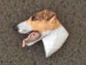 Fox Terrier Smooth - Pin Head