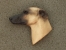 Brooche Large Head - Whippet