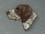 Brooche Large Head - German Shorthaired Pointer