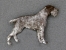 Brooche Figure - German Wirehaired Pointer