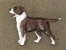 Brooche Figure - American Pit Bull Terrier