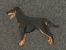 Brooche Figure - Manchester Terrier