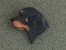 Brooche Small Head - Rottweiler