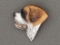 Svatobernardský pes - Brož malá hlava