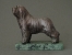 Classic Figure on Marble Base - Bearded Collie