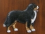 Bernský salašnický pes - Emblém