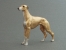Maxi Model - Greyhound