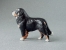 Maxi Model - Bernese Mountain Dog