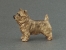 Mini Model - Norwich terrier