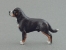 Mini Model - Large Swiss Mountain Dog