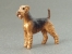 Mini Model - Airedale Terrier