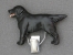 Number Card Clip - Flat Coated Retriever