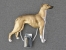 Number Card Clip - Greyhound
