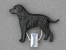 Number Card Clip - Curly Coated Retriever