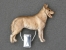 Number Card Clip - Saarloos Wolfhound