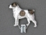 Středoasijský pastevecký pes - Výstavní klips
