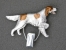 Number Card Clip - Irish Red & White Setter