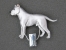 Number Card Clip - Dogo Argentino