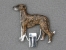 Number Card Clip - Spanish Galgo