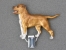 Number Card Clip - American Pit Bull Terrier