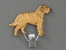 Number Card Clip - Styrian Coarse haired hound