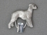 Number Card Clip - Bedlington Terrier
