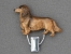 Number Card Clip - Dachshund longhaired
