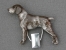 Number Card Clip - German Shorthaired Pointer