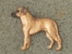 Pin Figure - Rhodesian Ridgeback